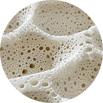 Cixi Tiansheng Sponge Products Co., Ltd.