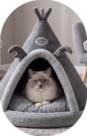 Spongia Pet Bed